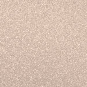 AM Champagne Silver