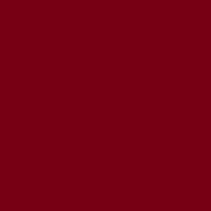 AMG Glossy Red